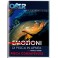 DVD PESCA SUB OMER